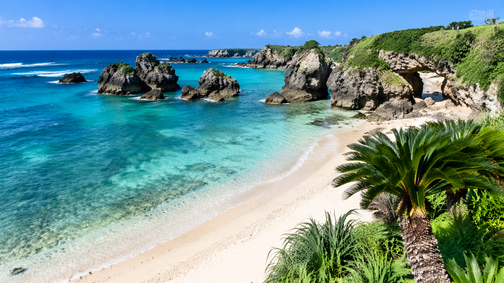 徳之島観光モデルコースでまず押さえたい回り方の結論：徳之島の観光ルート全体をイメージできる海岸風景