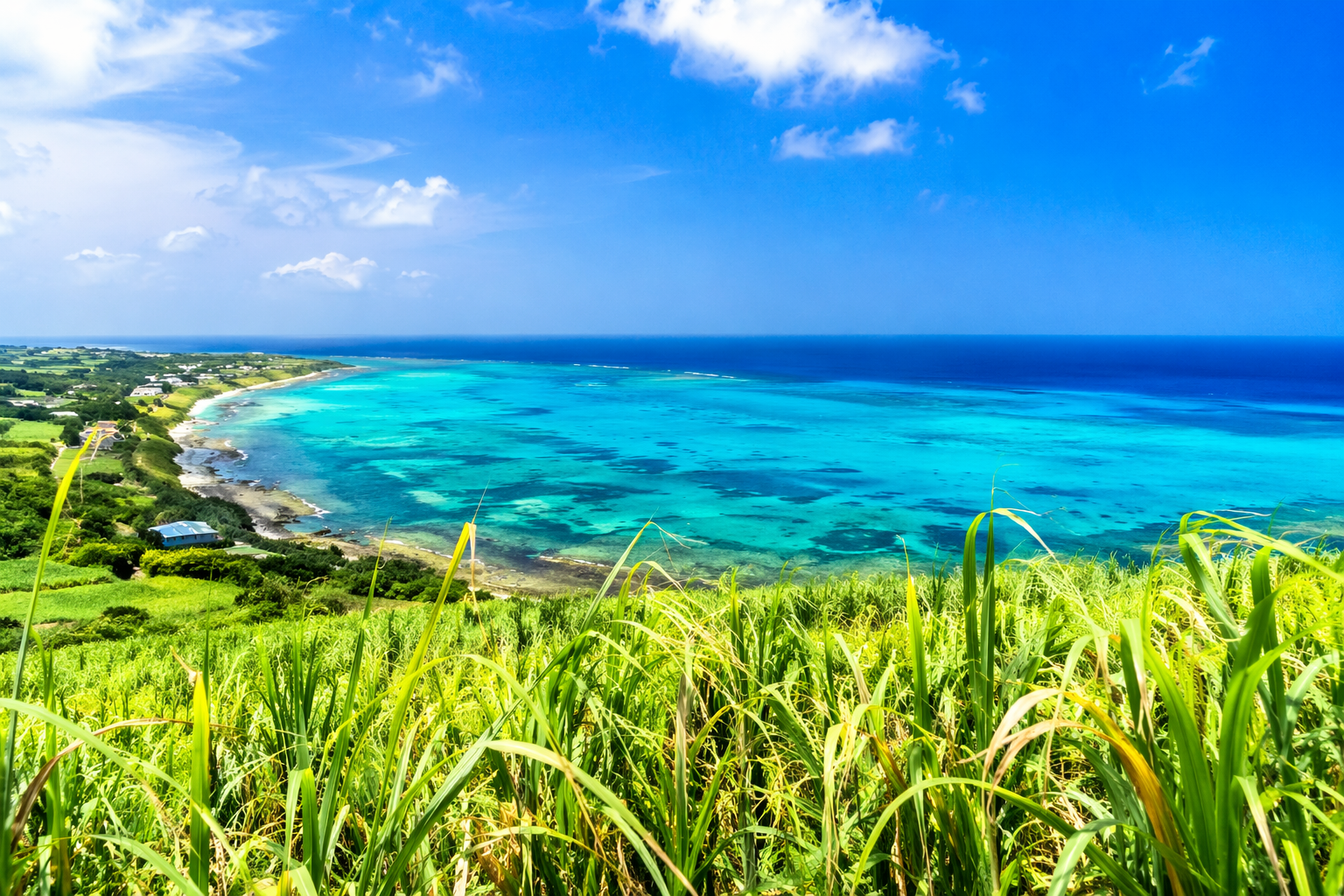 喜界島観光モデルコースを1日で満喫する王道プラン: 喜界島を1日で巡る王道観光ルートのイメージ